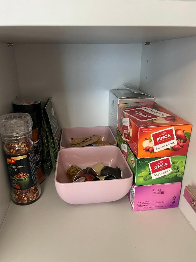 Apartman Plesivec U Sjezdovky アベルタミ エクステリア 写真