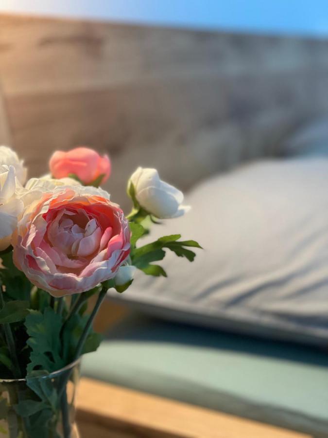 Apartman Plesivec U Sjezdovky アベルタミ エクステリア 写真